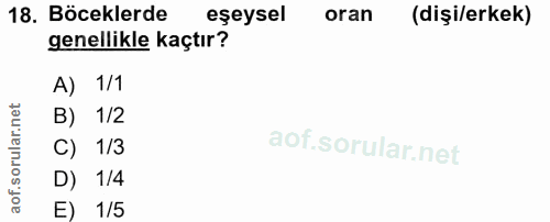 18. soru: Böceklerde eşeysel oran (dişi/erkek) genellikle kaçtır? A) 1/1 B) 1/2 C) 1/3 D) 1/4 E) 1/5