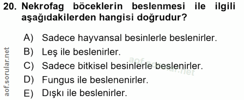 20. soru: Nekrofag böceklerin beslenmesi ile ilgili aşağıdakilerden hangisi doğrudur? A) Sadece hayvansal besinlerle beslenirle…