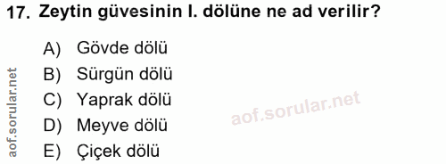 17. soru: Zeytin güvesinin I. dölüne ne ad verilir? A) Gövde dolü B) Sürgün dölü C) Yaprak dölü D) Meyve dölü E) Çiçek dölü