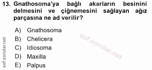13. soru: Gnathosoma'ya bağlı akarların besinini delmesini ve çiğnemesini sağlayan ağız parçasına ne ad verilir? A) Gnathosoma…