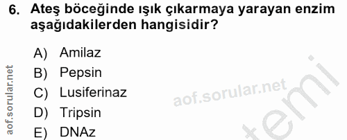 6. soru: Ateş böceğinde ışık çıkarmaya yarayan enzim aşağıdakilerden hangisidir? A) Amilaz B) Pepsin i C) Lusiferinaz D) Trips…