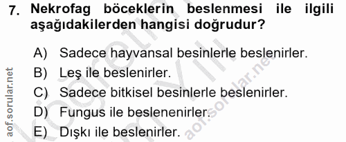7. soru: Nekrofag böceklerin beslenmesi ile ilgili aşağıdakilerden hangisi doğrudur? A) Sadece hayvansal besinlerle beslenirle…