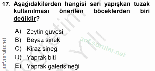 17. soru: Aşağıdakilerden hangisi sarı yapışkan tuzak kullanılması önerilen böceklerden biri değildir? A) Zeytin güvesi B) Beya…