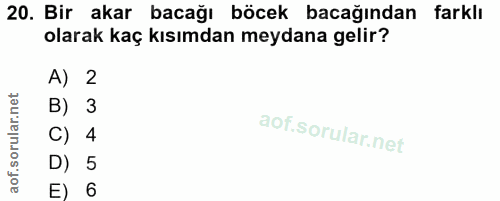 20. soru: Bir akar bacağı böcek bacağından farklı olarak kaç kısımdan meydana gelir? A) 2 B) 3 C) 4 D) 5 E) 6