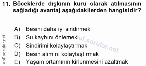 11. soru: Böceklerde dışkının kuru olarak atılmasının sağladığı avantaj aşağıdakilerden hangisidir? B) Su kaybını önlemek of. A…