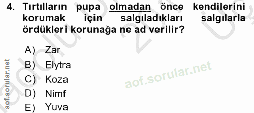 4. soru: Tırtılların pupa olmadan önce kendilerini korumak için salgıladıkları salgılarla ördükleri korunağa ne ad verilir? A)…