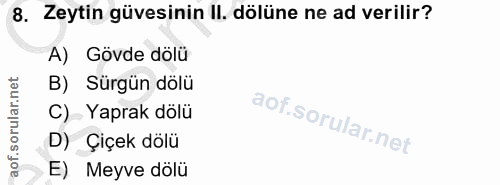 8. soru: Zeytin güvesinin Il. dölüne ne ad verilir? A) Gövde dölü B) Sürgün dölü C) Yaprak dölü D) Çiçek dölü E) Meyve dölü