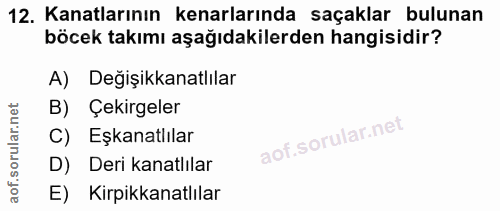 12. soru: Kanatlarının kenarlarında saçaklar bulunan böcek takımı aşağıdakilerden hangisidir? A) Değişikkanatlılar B) Çekirgele…