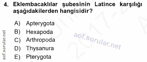 4. soru: Eklembacaklılar şubesinin Latince karşılığı aşağıdakilerden hangisidir? A) Apterygota B) Hexapoda C) Arthropoda D) Th…