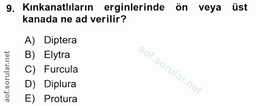 9. soru: Kinkanatlıların erginlerinde ön veya üst kanada ne ad verilir? A) Diptera B) Elytra C) Furcula D) Diplura E) Protura