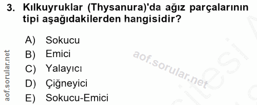 3. soru: Kılkuyruklar (Thysanura)'da ağız parçalarının tipi aşağıdakilerden hangisidir? A) Sokucu B) Emici C) Yalayıcı D) Çığn…