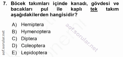 7. soru: Böcek takımları içinde kanadı, gövdesi ve bacakları pul ile kaplı tek takım aşağıdakilerden hangisidir? A) Hemiptera…