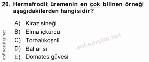 20. soru: Hermafrodit üremenin en çok bilinen örneği aşağıdakilerden hangisidir? A) Kiraz sineği B) Elma içkurdu C) Torbalıkoşn…