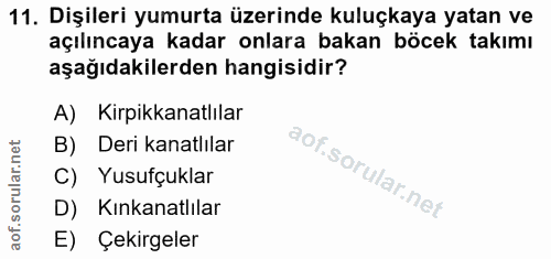 11. soru: Dişileri yumurta üzerinde kuluçkaya yatan ve açılıncaya kadar onlara bakan böcek takımı aşağıdakilerden hangisidir? A…