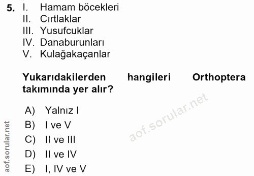 5. soru: l. Hamam böcekleri II. Cırtlaklar III. Yusufcuklar IV. Danaburunları V. Kulağakaçanlar Yukarıdakilerden hangileri Ort…