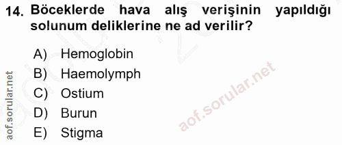 14. soru: Böceklerde hava alış verişinin yapıldığı solunum deliklerine ne ad verilir? A) Hemoglobin B) Haemolymph C) Ostium D)…