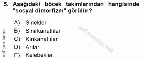 5. soru: Aşağıdaki böcek takımlarından hangisinde "sosyal dimorfizm" görülür? A) Sinekler B) Sinirkanatlılar C) Kınkanatlılar…
