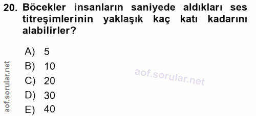 20. soru: Böcekler insanların saniyede aldıkları ses titreşimlerinin yaklaşık kaç katı kadarını alabilirler? A) 5 B) 10 C) 20 D…