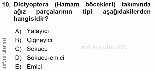 10. soru: Dictyoptera (Hamam böcekleri) takımında ağız parçalarının tipi aşağıdakilerden hangisidir? A) Yalayıcı B) Çiğneyici C…