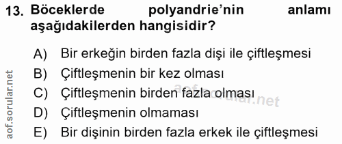 13. soru: Böceklerde polyandrie'nin anlamı aşağıdakilerden hangisidir? A) Bir erkeğin birden fazla dişi ile çiftleşmesi B) Çift…
