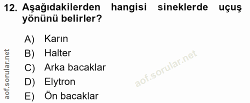 12. soru: Aşağıdakilerden hangisi sineklerde uçuş yönünü belirler? A) Karın B) Halter C) Arka bacaklar D) Elytron E) On bacaklar