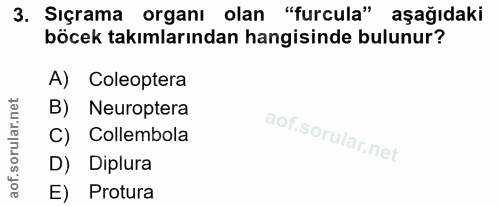 3. soru: Sıçrama organı olan "furcula" aşağıdaki böcek takımlarından hangisinde bulunur? A) Coleoptera B) Neuroptera C) Collem…