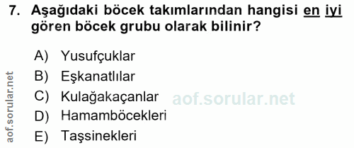7. soru: Aşağıdaki böcek takımlarından hangisi en iyi gören böcek grubu olarak bilinir? A) Yusufçuklar B) Eşkanatlılar C) Kula…