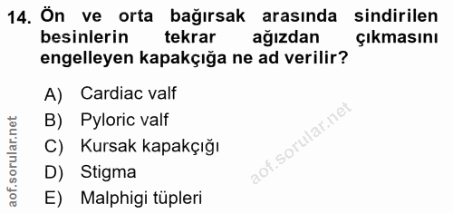 14. soru: Ön ve orta bağırsak arasında sindirilen besinlerin tekrar ağızdan Çıkmasını engelleyen kapakçığa ne ad verilir? A) Ca…