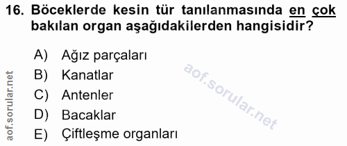 16. soru: Böceklerde kesin tür tanılanmasında en çok bakılan organ aşağıdakilerden hangisidir? A) Ağız parçaları B) Kanatlar C)…