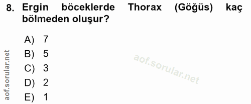 8. soru: Ergin böceklerde Thorax (Göğüs) kaç bölmeden oluşur? A) 7 B) 5 C) 3 D) 2 E) 1