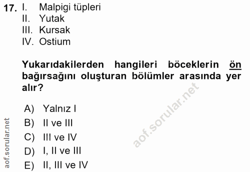17. soru: 1. Malpigi tüpleri II. Yutak III. Kursak IV. Ostium Yukarıdakilerden hangileri böceklerin ön bağırsağını oluşturan bö…