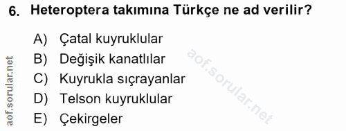 6. soru: Heteroptera takımına Türkçe ne ad verilir? A) Çatal kuyruklular B) Değişik kanatlılar C) Kuyrukla sıçrayanlar D) Tels…