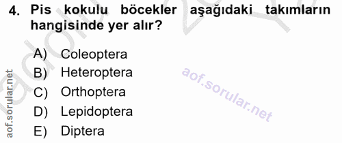 4. soru: Pis kokulu böcekler aşağıdaki takımların hangisinde yer alır? A) Coleoptera B) Heteroptera Orthoptera D) Lepidoptera…