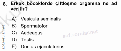 8. soru: Erkek böceklerde çiftleşme organına ne ad verilir? A) Vesicula seminalis B) Spermatofor C) Aedeagus D) Testis E) Duct…
