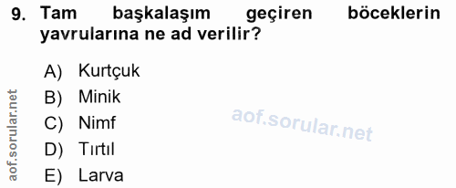 9. soru: Tam başkalaşım geçiren böceklerin yavrularına ne ad verilir? A) Kurtçuk B) Minik orular.n C) Nimf aof.s D) Tirtil E)…
