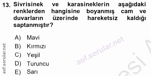 13. soru: Sivrisinek ve karasineklerin aşağıdaki renklerden hangisine boyanmış cam ve duvarların üzerinde hareketsiz kaldığı sa…