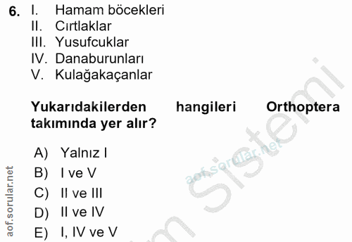 6. soru: I. Hamam böcekleri Il. Cırtlaklar III. Yusufcuklar IV. Danaburunları V. Kulağakaçanlar Yukarıdakilerden hangileri Ort…