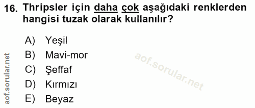 16. soru: Thripsler için daha çok aşağıdaki renklerden hangisi tuzak olarak kullanılır? A) Yeşil B) Mavi-mor C) Şeffaf D) Kırmı…