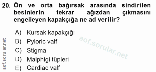 20. soru: Ön ve orta bağırsak arasinda sindirilen besinlerin tekrar ağızdan çıkmasını engelleyen kapakçığa ne ad verilir? A) Ku…