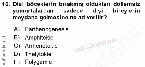 16. soru: Dişi böceklerin bırakmış oldukları döllemsiz yumurtalardan sadece dişi bireylerin meydana gelmesine ne ad verilir? A)…