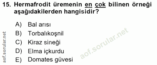 15. soru: Hermafrodit üremenin en çok bilinen örneği aşağıdakilerden hangisidir? A) Bal arısı B) Torbalıkoşnil C) Kiraz sineği…