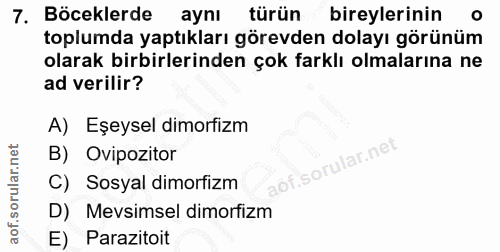 7. soru: Böceklerde ayni türün bireylerinin toplumda yaptıkları görevden dolayı görünüm olarak birbirlerinden çok farklı olmal…