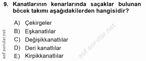 9. soru: Kanatlarının kenarlarında saçaklar bulunan böcek takımı aşağıdakilerden hangisidir? A) Çekirgeler B) Eşkanatlılar C)…