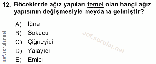 12. soru: Böceklerde ağız yapıları temel olan hangi ağız yapısının değişmesiyle meydana gelmiştir? A) Iğne B) Sokucu C) Çiğneyi…