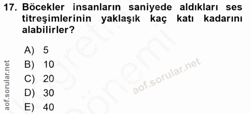 17. soru: Böcekler insanların saniyede aldıkları ses titreşimlerinin yaklaşık kaç katı kadarını alabilirler? A) 5 B) 10 C) 20 D…
