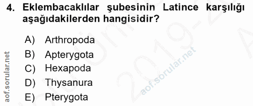 4. soru: Eklembacaklılar şubesinin Latince karşılığı aşağıdakilerden hangisidir? A) Arthropoda B) Apterygota C) Hexapoda D) Th…