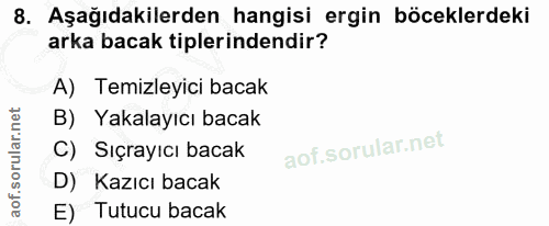 8. soru: Aşağıdakilerden hangisi ergin böceklerdeki arka bacak tiplerindendir? A) Temizleyici bacak B) Yakalayıcı bacak C) Sıç…