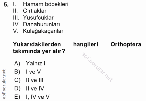 5. soru: L. Hamam böcekleri II. Cırtlaklar III. Yusufcuklar IV. Danaburunları V. Kulağakaçanlar Yukarıdakilerden hangileri Ort…