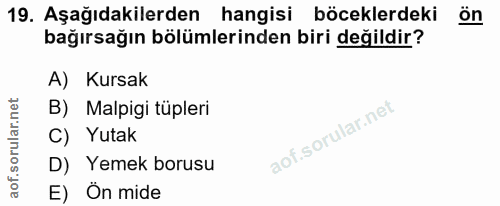 19. soru: Aşağıdakilerden hangisi böceklerdeki Ön bağırsağın bölümlerinden biri değildir? A) Kursak B) Malpigi tüpleri C) Yutak…