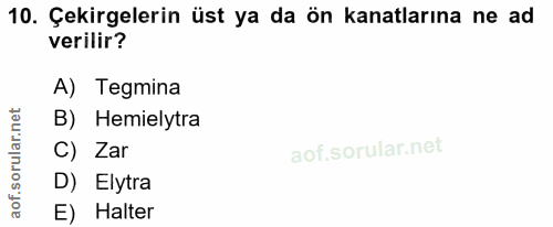 10. soru: Çekirgelerin üst ya da ön kanatlarına ne ad verilir? A) Tegmina B) Hemielytra C) Zar D) Elytra E) Halter